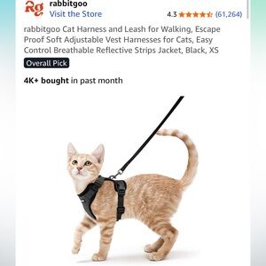 Cat harness and leash